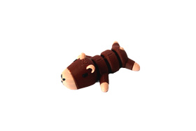 capivara.jpg