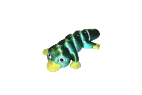 ornito.jpg