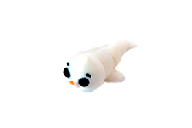 foca.jpg