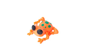 sapo.jpg