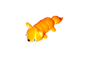 raposa.jpg